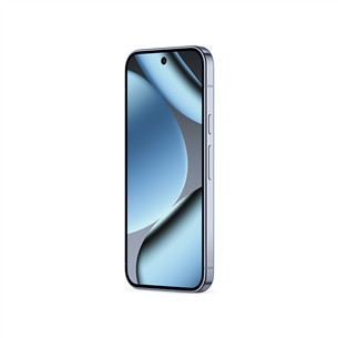 Google Pixel 10 Pro, 512 GB, pilkas - Išmanusis telefonas