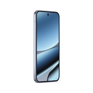 Google Pixel 10 Pro XL, 256 GB, pilkas - Išmanusis telefonas