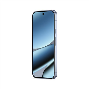 Google Pixel 10 Pro XL, 256 GB, pilkas - Išmanusis telefonas