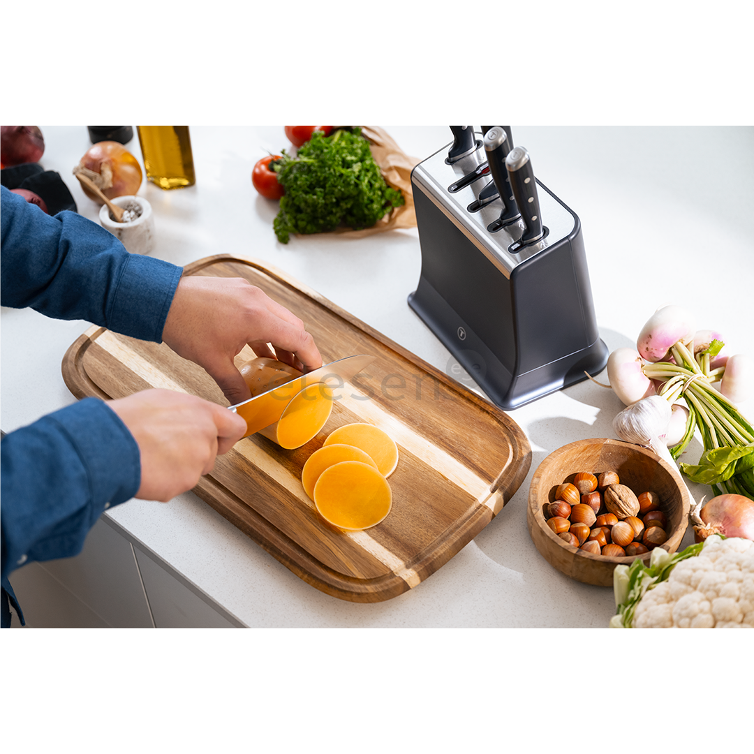 Tefal EverSharp, 5 vnt., nerūdijančio plieno - Peilių rinkinys su stovu