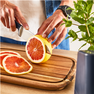 Tefal EverSharp, 5 vnt., nerūdijančio plieno - Peilių rinkinys su stovu