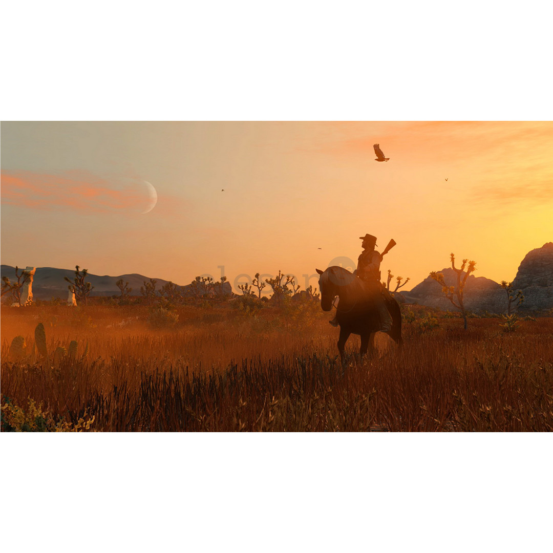 Red Dead Redemption, Nintendo Switch - Žaidimas