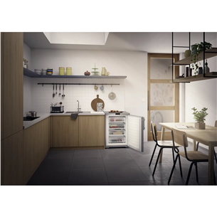 Liebherr Plus NoFrost, 92 L, aukštis 85 cm, sidabro spalvos - Šaldiklis