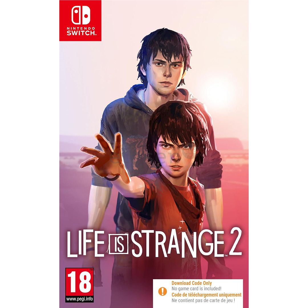 Life is Strange 2, Nintendo Switch - Игра