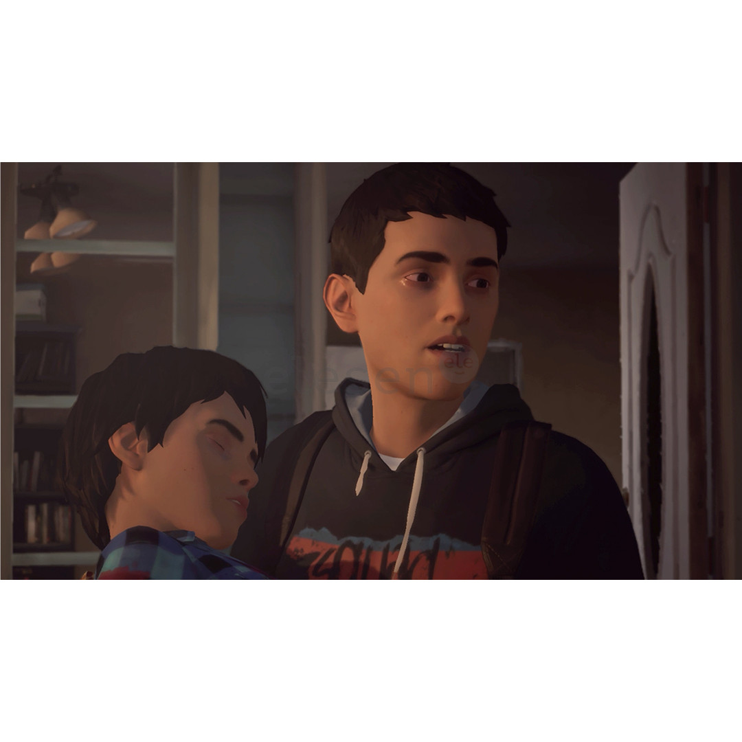 Life is Strange 2, Nintendo Switch - Игра