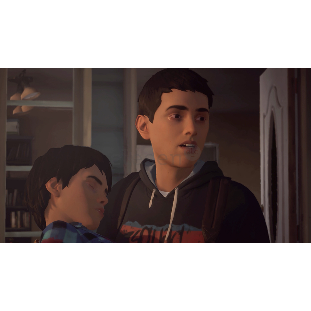 Life is Strange 2, Nintendo Switch - Žaidimas