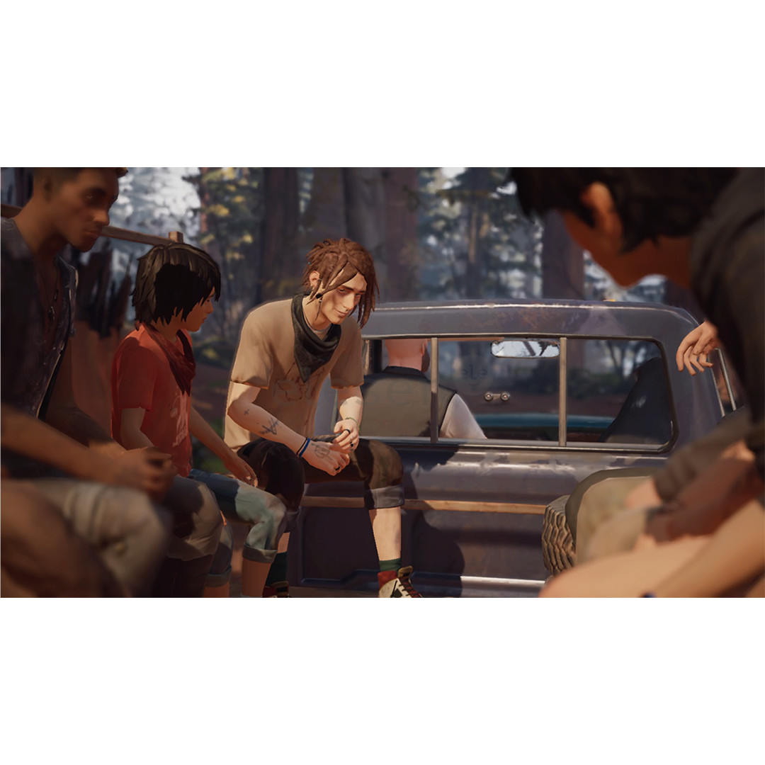 Life is Strange 2, Nintendo Switch - Игра