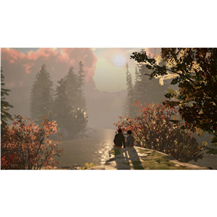 Life is Strange 2, Nintendo Switch - Игра