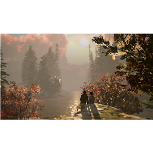 Life is Strange 2, Nintendo Switch - Žaidimas