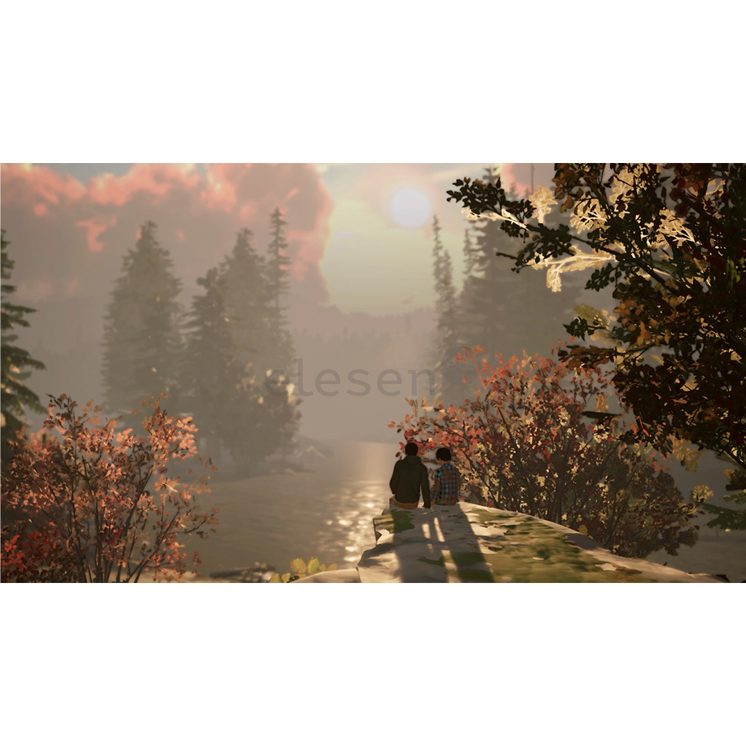 Life is Strange 2, Nintendo Switch - Игра