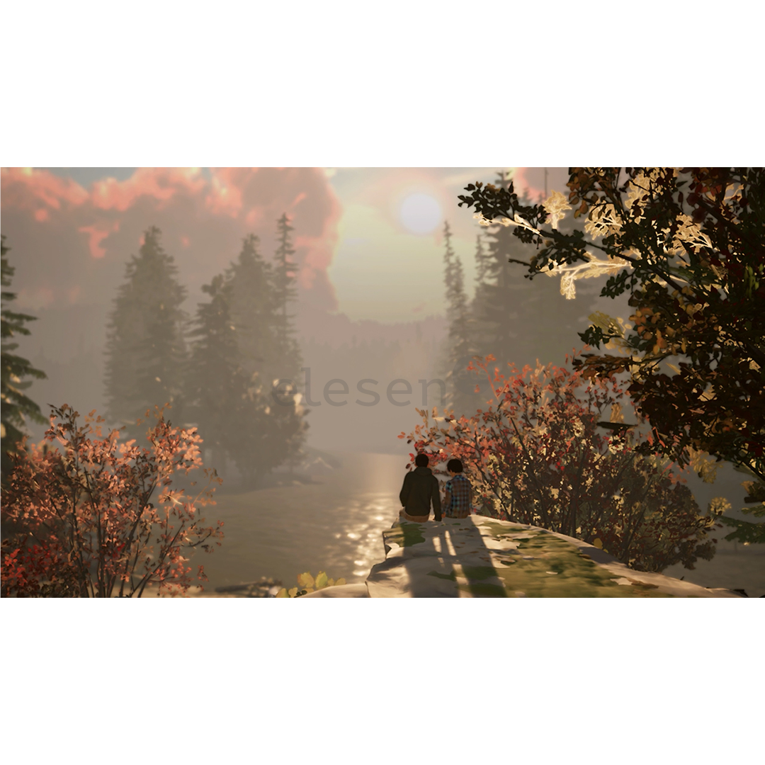 Life is Strange 2, Nintendo Switch - Žaidimas