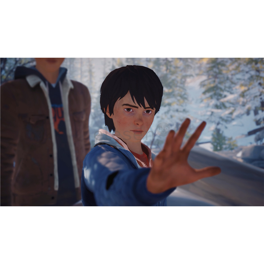 Life is Strange 2, Nintendo Switch - Игра