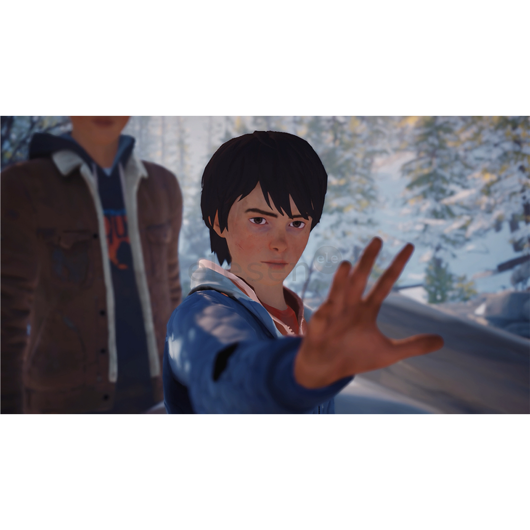 Life is Strange 2, Nintendo Switch - Žaidimas