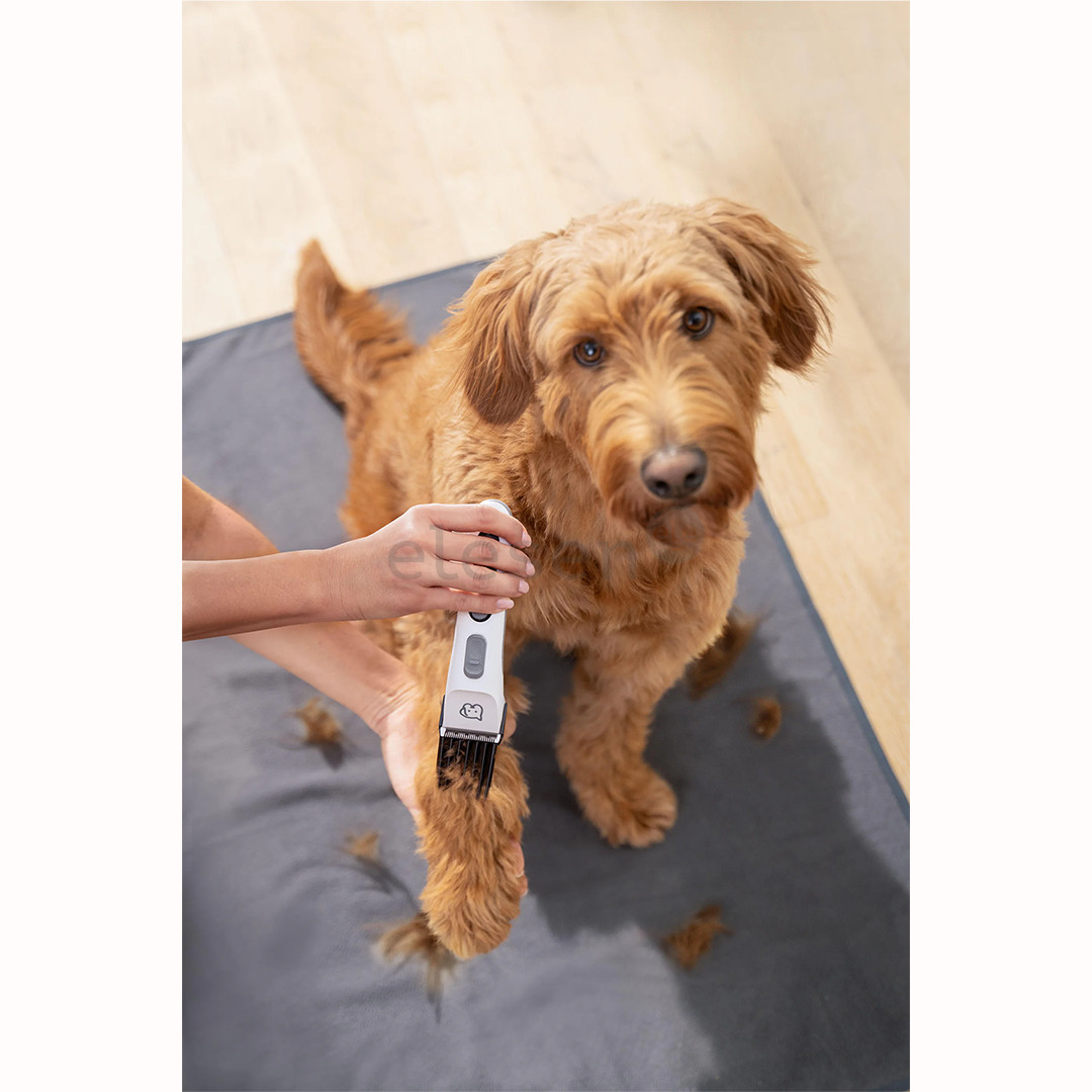 Beurer PP 110 „Fluffy“, balta - Gyvūnų plaukų kirpimo mašinėlė