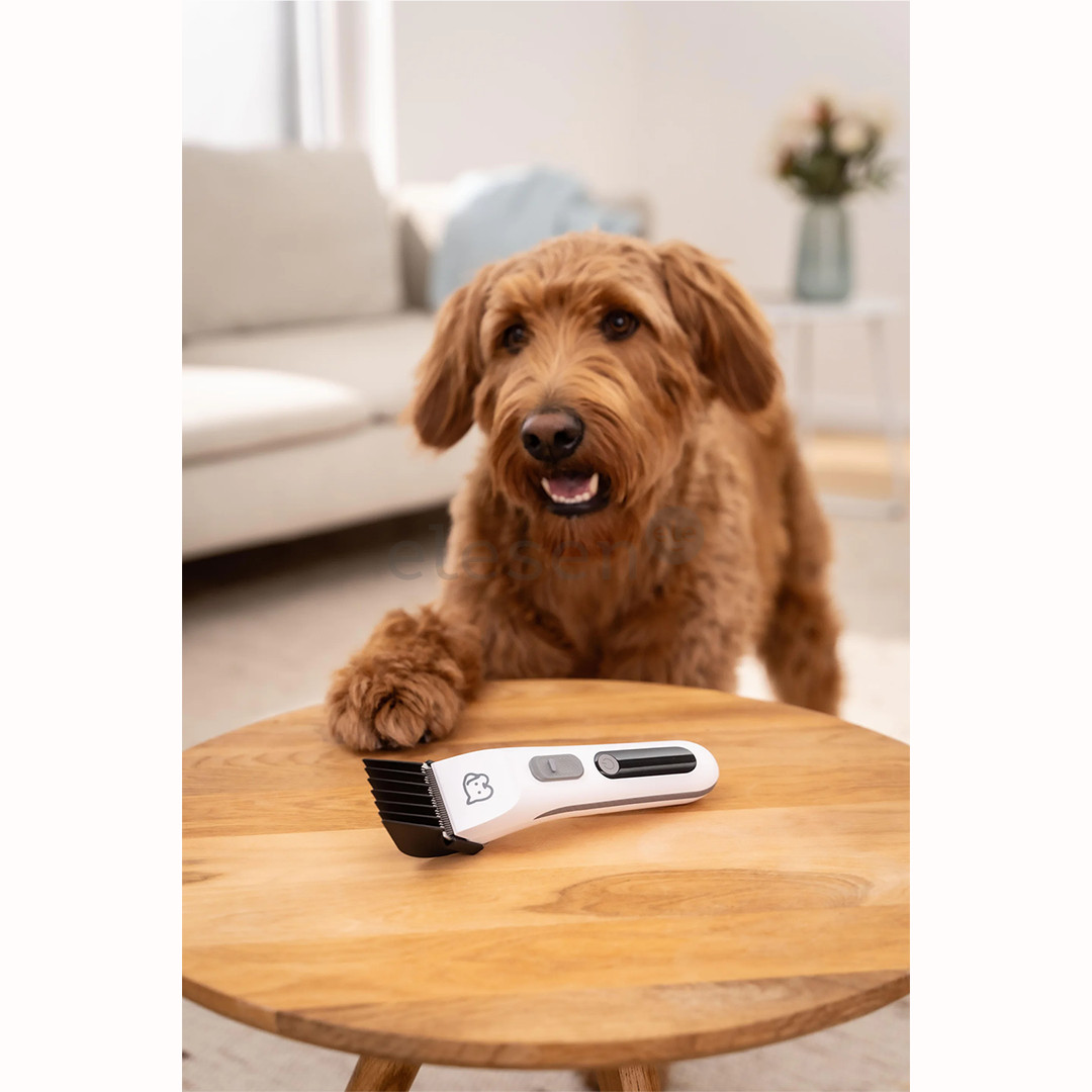 Beurer PP 110 „Fluffy“, balta - Gyvūnų plaukų kirpimo mašinėlė