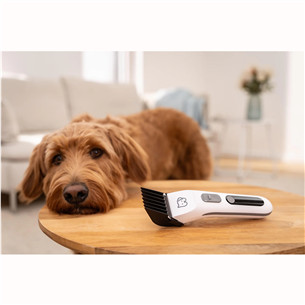 Beurer PP 110 „Fluffy“, balta - Gyvūnų plaukų kirpimo mašinėlė