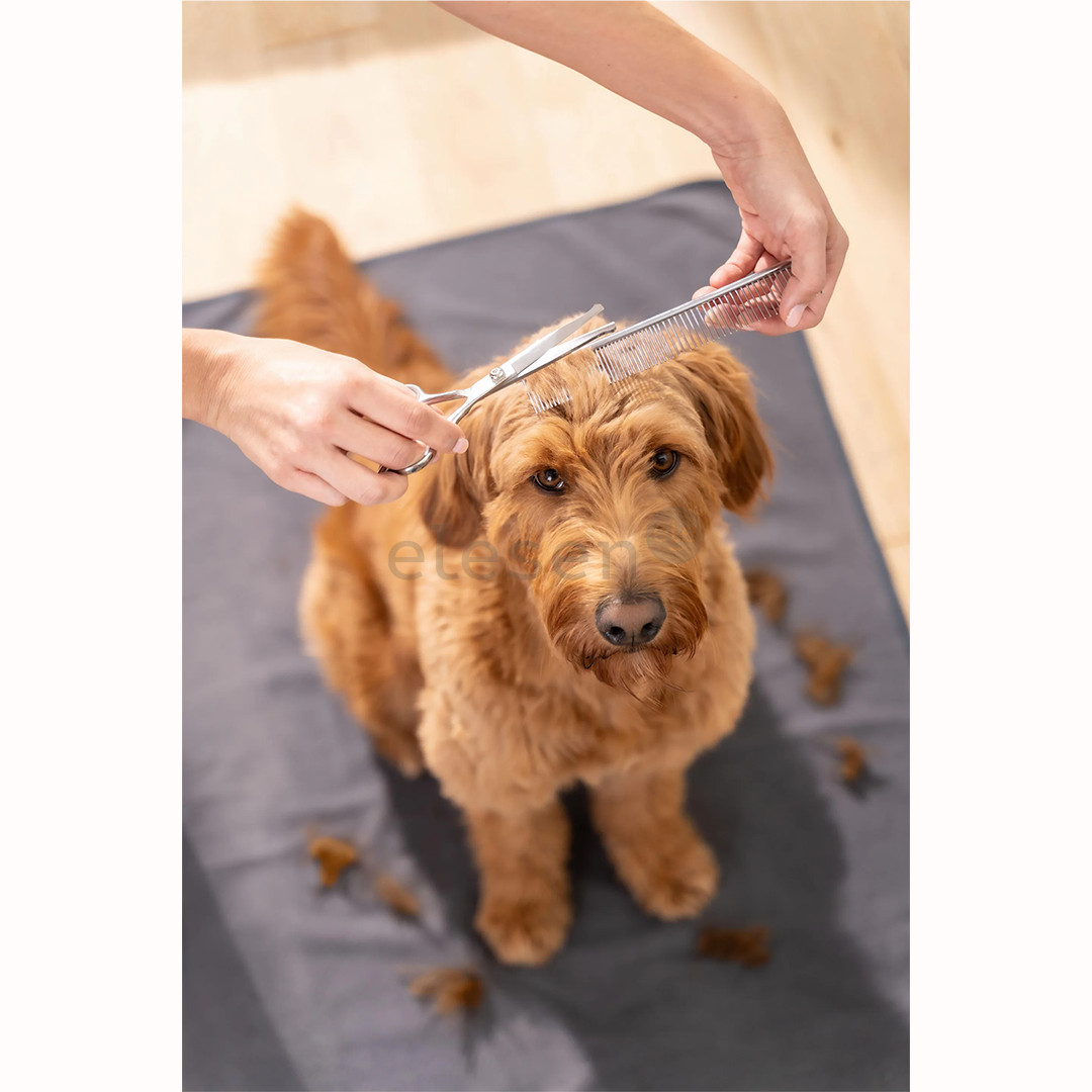 Beurer PP 110 „Fluffy“, balta - Gyvūnų plaukų kirpimo mašinėlė