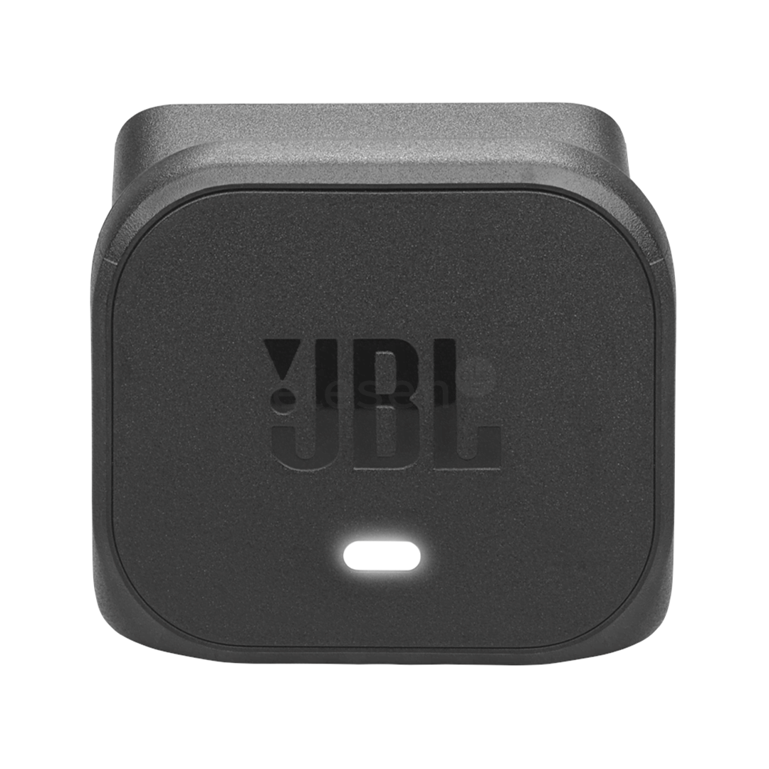 JBL Battery 200 with charger - Spare Battery