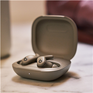 Beats Powerbeats Fit, серый - Полностью беспроводные наушники
