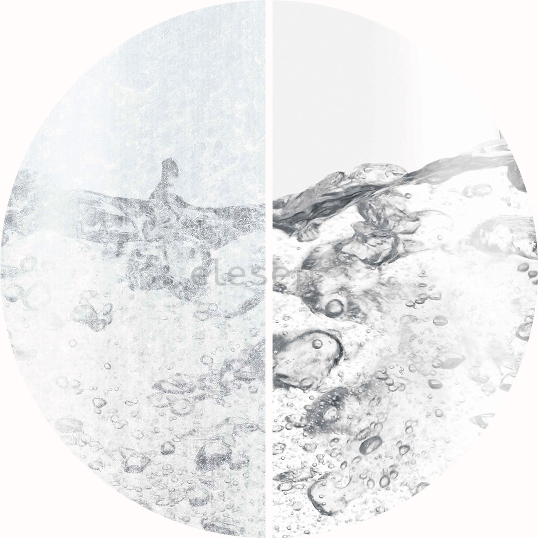 Sage the Machine Descaler, 6 x 25 g - Nukalkinimo priemonė