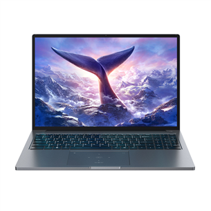 BlackView GamiBook 8, 16'', WUXGA, Ryzen 7, 32 GB, 1 TB, W11P, ENG, pilkas - Nešiojamasis kompiuteris 6931548324164
