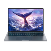 BlackView GamiBook 8, 16'', WUXGA, Ryzen 7, 32 ГБ, 1 ТБ, W11P, ENG, серый - Ноутбук