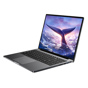 BlackView GamiBook 8, 16'', WUXGA, Ryzen 7, 32 ГБ, 1 ТБ, W11P, ENG, серый - Ноутбук