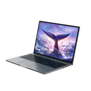 BlackView GamiBook 8, 16'', WUXGA, Ryzen 7, 32 ГБ, 1 ТБ, W11P, ENG, серый - Ноутбук