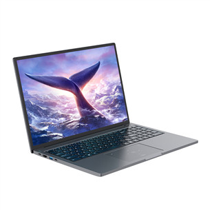 BlackView GamiBook 8, 16'', WUXGA, Ryzen 7, 32 ГБ, 1 ТБ, W11P, ENG, серый - Ноутбук