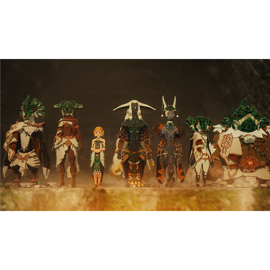 Hyrule Warriors: Age of Imprisonment, Nintendo Switch 2 - Игра