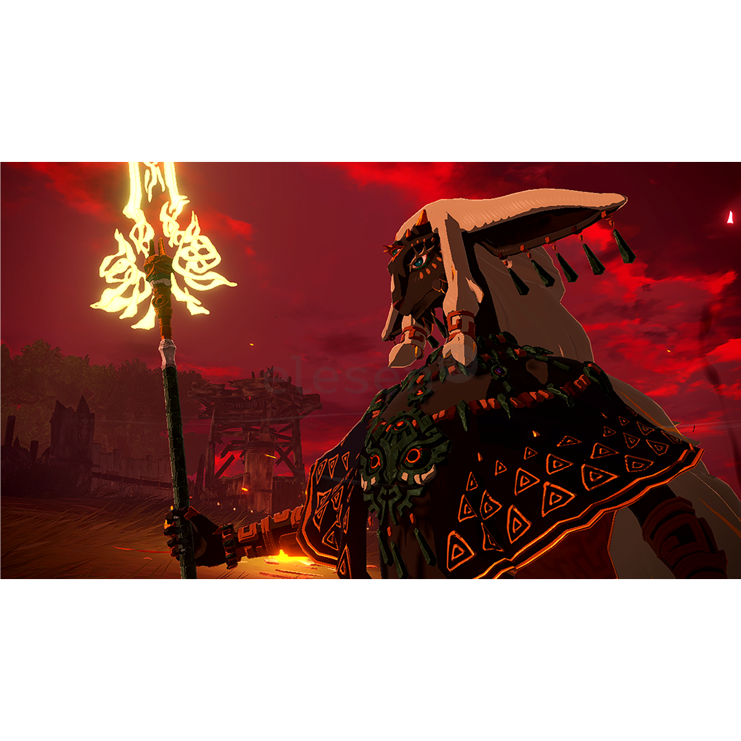 Hyrule Warriors: Age of Imprisonment, Nintendo Switch 2 - Игра