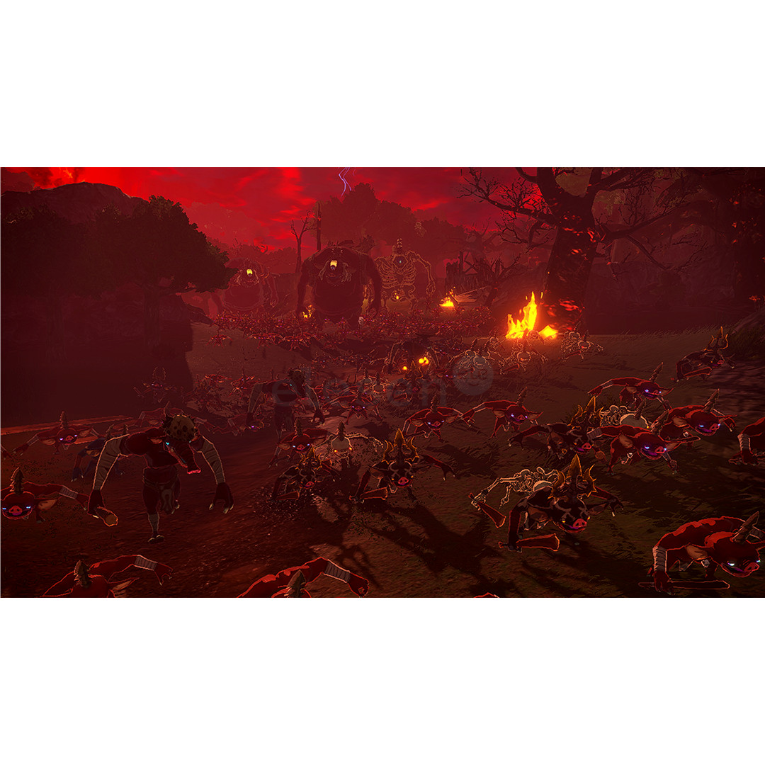 Hyrule Warriors: Age of Imprisonment, Nintendo Switch 2 - Žaidimas