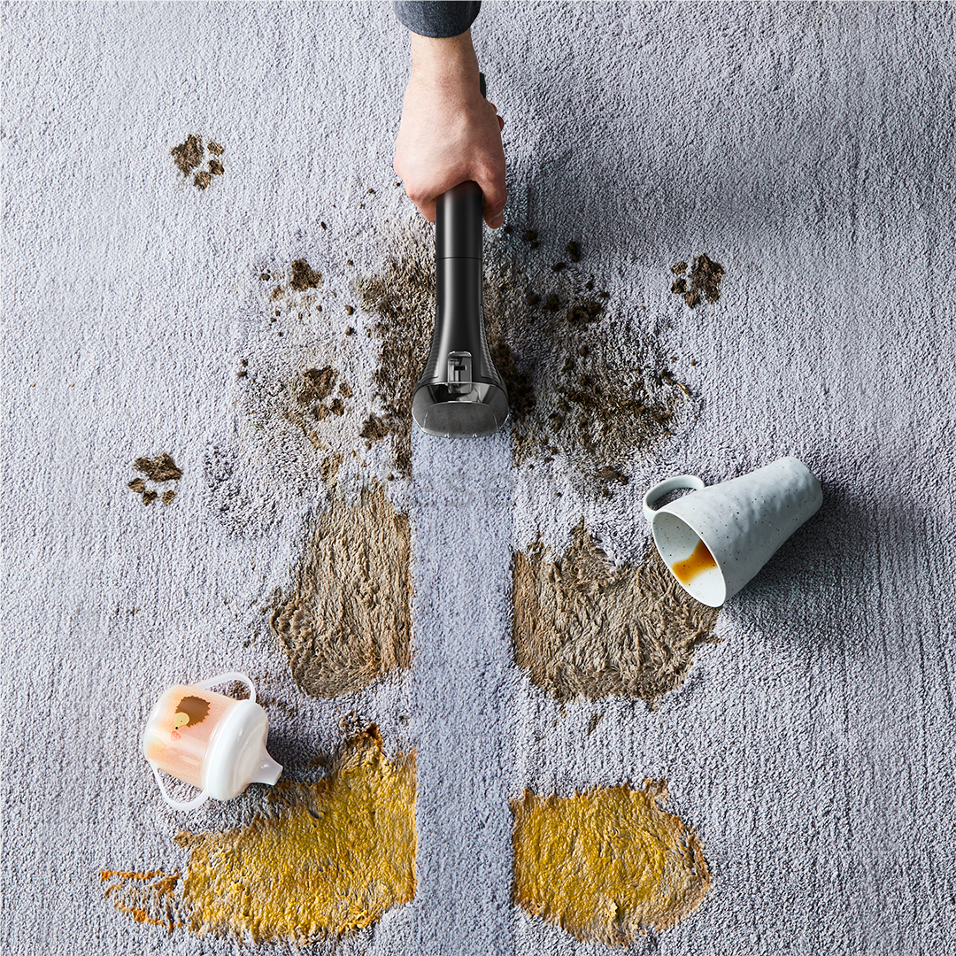 Tefal Clean It Compact, žalias - Kilimų ir apmušalų valymo įrenginys