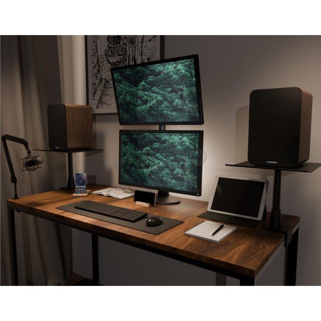 Blaupunkt BS50, коричневый - Беспроводные полочные колонки