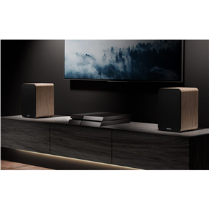 Blaupunkt BS50, коричневый - Беспроводные полочные колонки