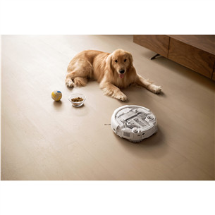 DJI Romo A, wet & dry, baltas/skaidrus - Dulkių siurblys robotas