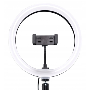 Mackie Ring Light mRING-10, черный - Кольцевая лампа