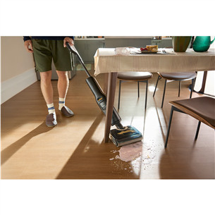 Roborock F25, Wet & Dry, juodas - Belaidis dulkių siurblys