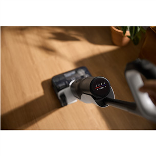 Roborock F25 ACE, Wet & Dry, black - Cordless vacuum cleaner