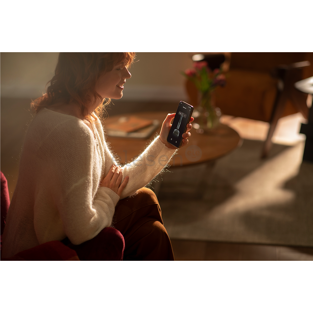 Roborock F25 ACE, Wet & Dry, black - Cordless vacuum cleaner