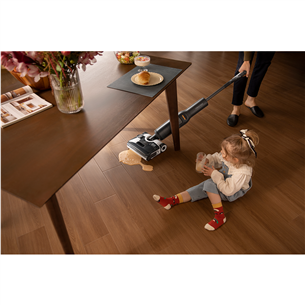 Roborock F25 ACE, Wet & Dry, black - Cordless vacuum cleaner