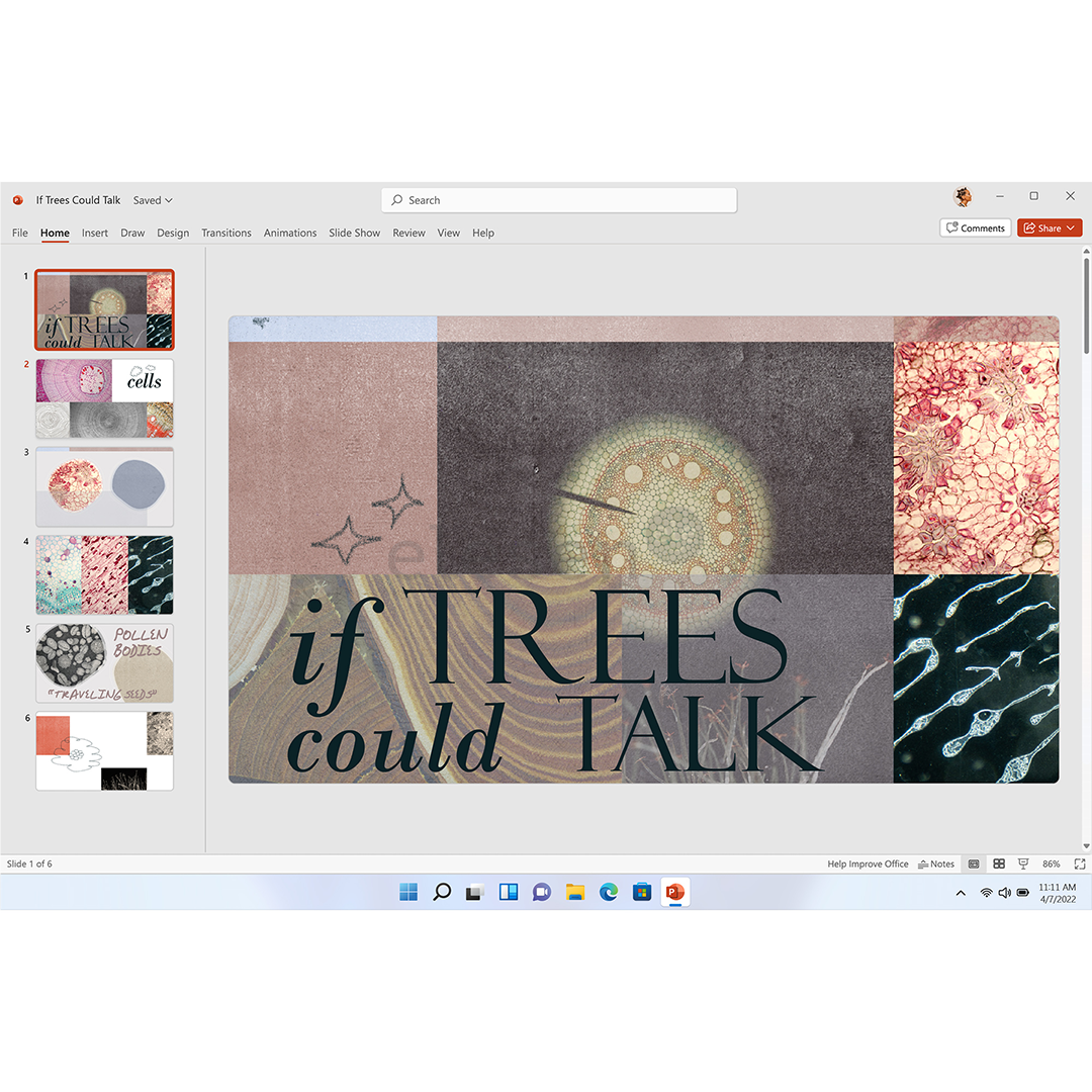 Microsoft 365 Personal, 12 mėnesių prenumerata, 1 naudotojas / 5 įrenginiai, 1 TB OneDrive, ENG - Programinė įranga