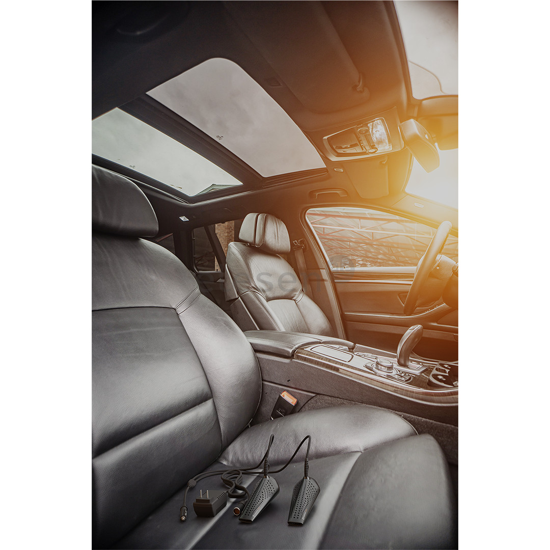 Hedgehog Drive, juodas - Batų džiovintuvas