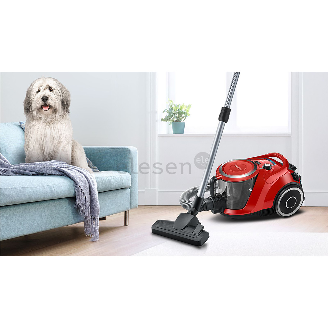 Bosch, Series 6, ProAnimal, 700 W, be maišelių, raudonas - Dulkių siurblys