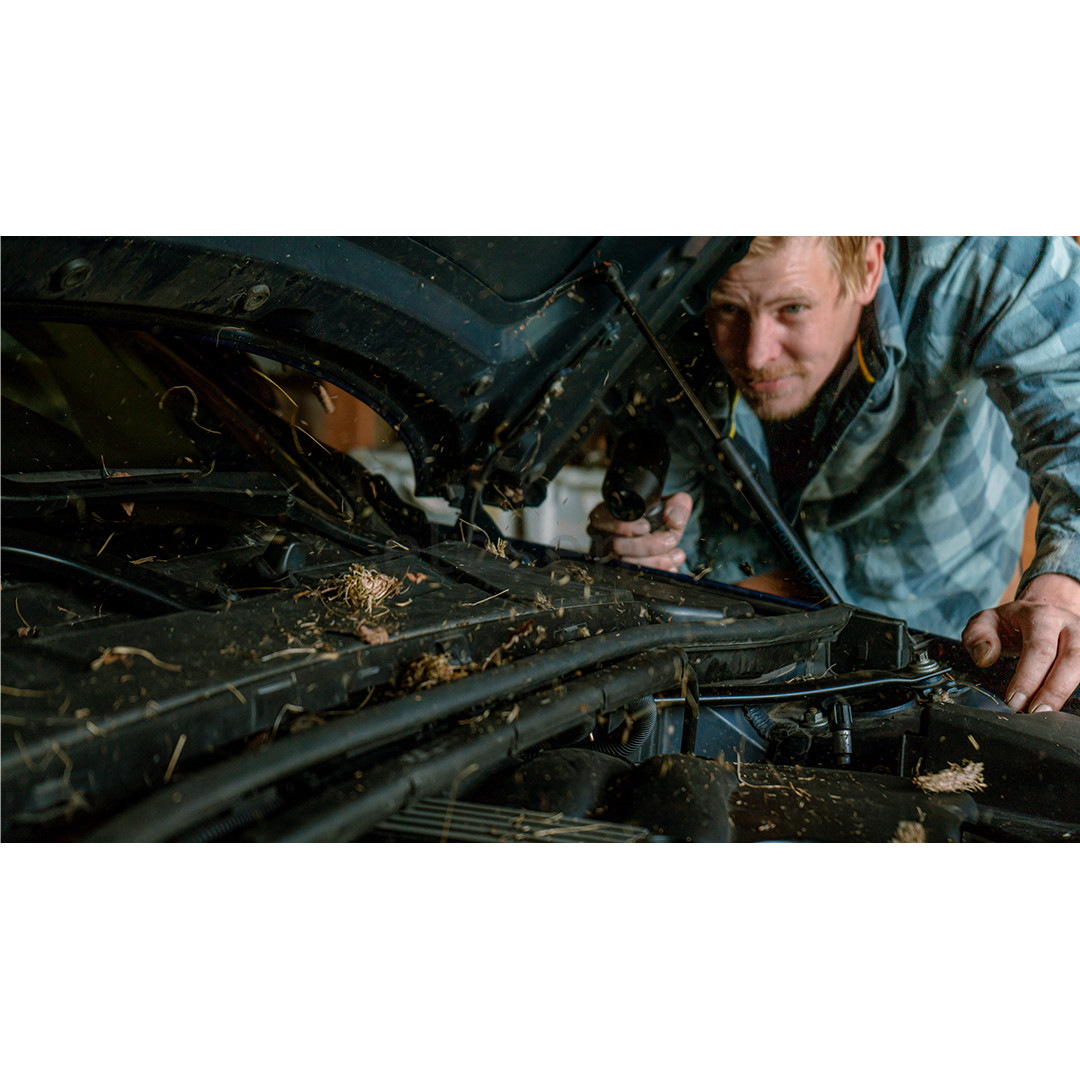 Hedgehog Jet, juodas - Belaidis pūstuvas