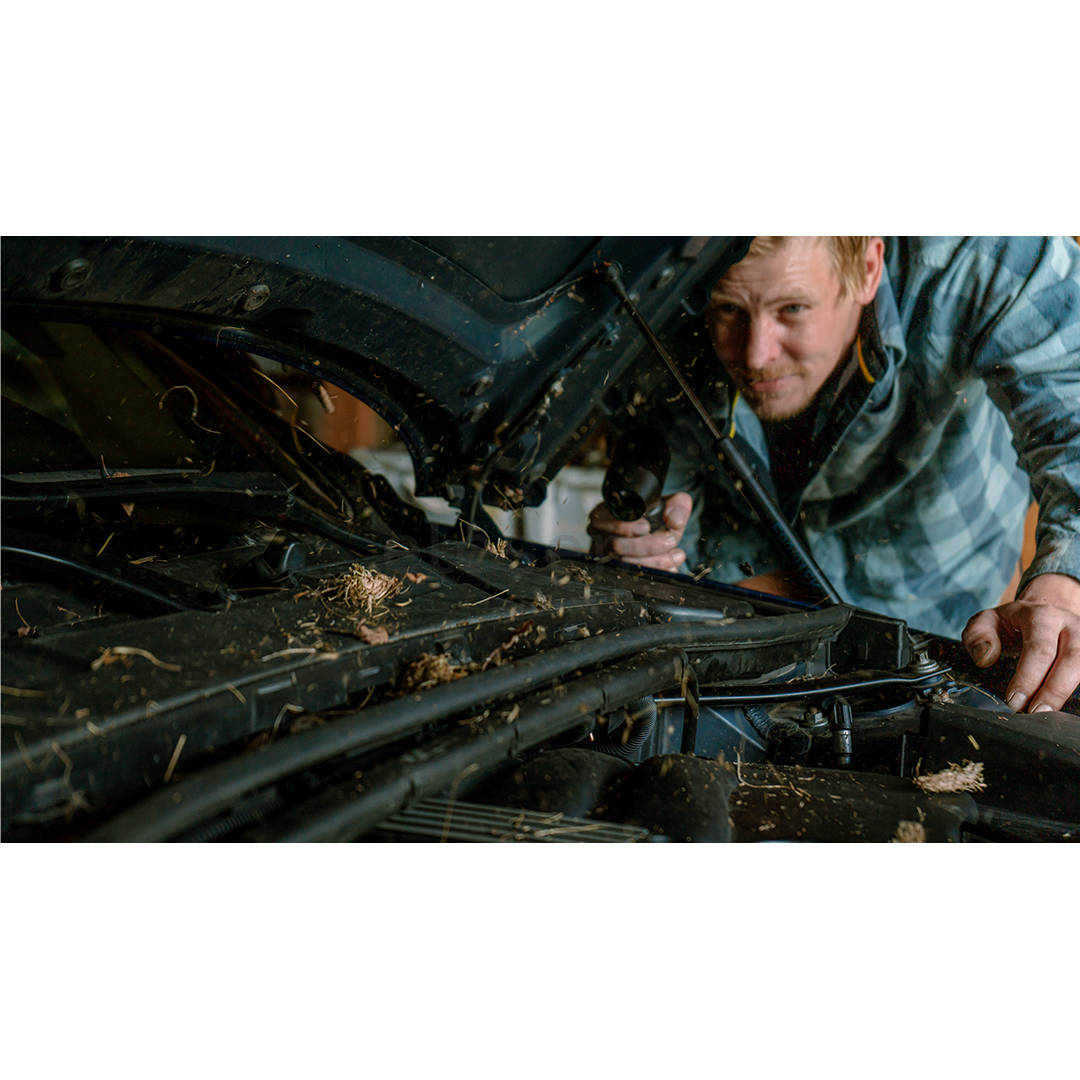 Hedgehog Jet, juodas - Belaidis pūstuvas