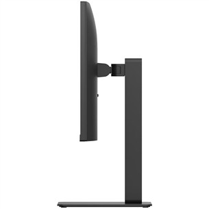 LG BA45U UltraFine, 27'', UHD, IPS, black - Monitor
