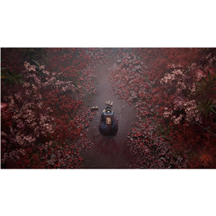 Silent Hill f Day One Edition, PlayStation 5 - Game