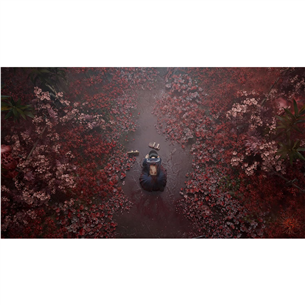 Silent Hill f Day One Edition, PlayStation 5 - Игра