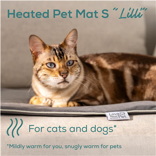 Beurer Lilli, 41 x 34 cm, pilkas - Šildantis kilimėlis gyvūnams